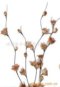 供應葉脈花、龍柳、三叉木、龍桑、蘆葦專業指南